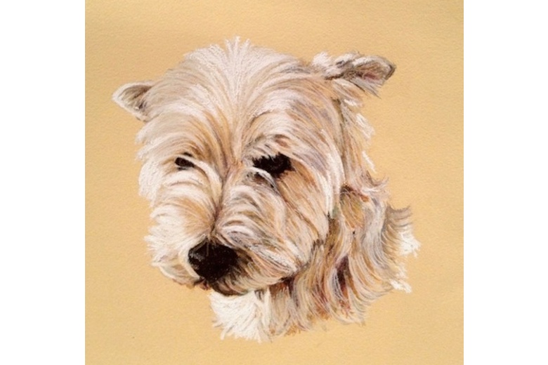Oil on Canvas